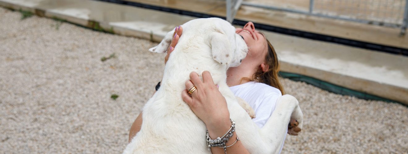 Al via la collaborazione con Empethy per l’adozione consapevole di cani e gatti