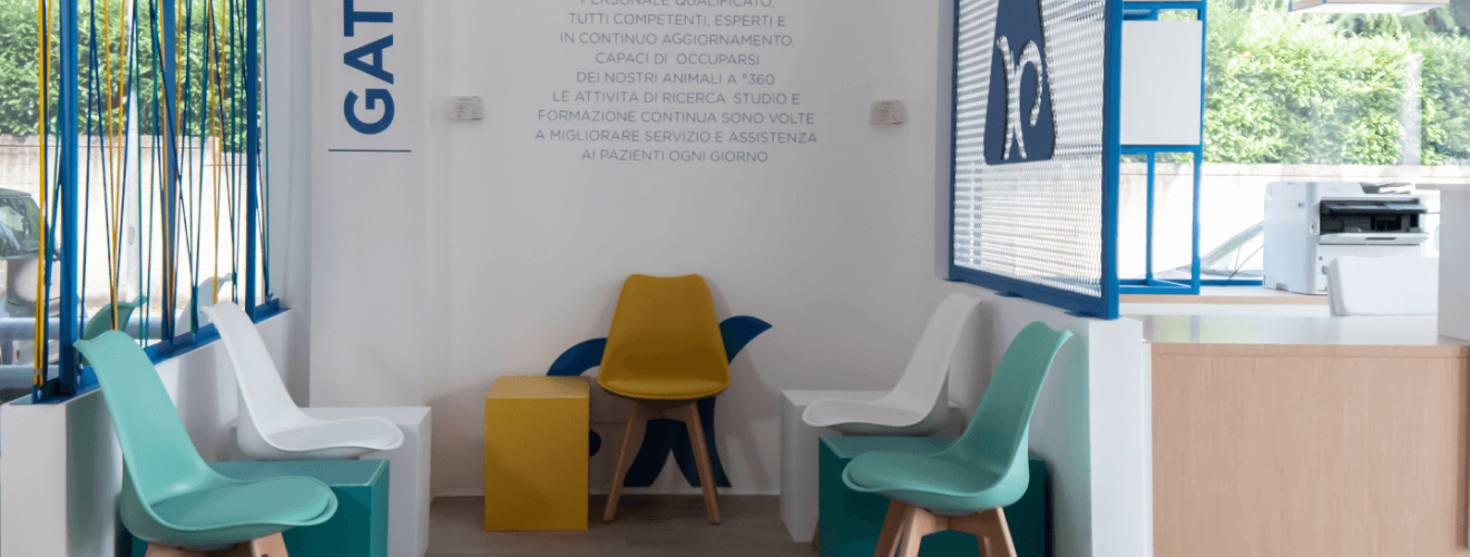 Leggi l’intervista su PETB2B