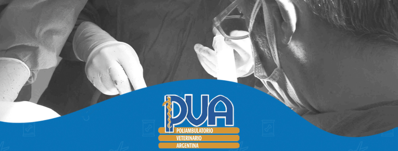 Un caldo benvenuto al Poliambulatorio Veterinario Argentina