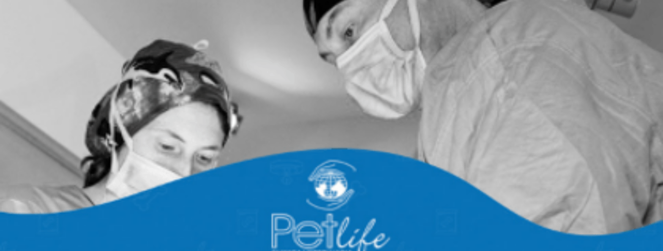 La Clinica PetLife entra a far parte del gruppo Animalia