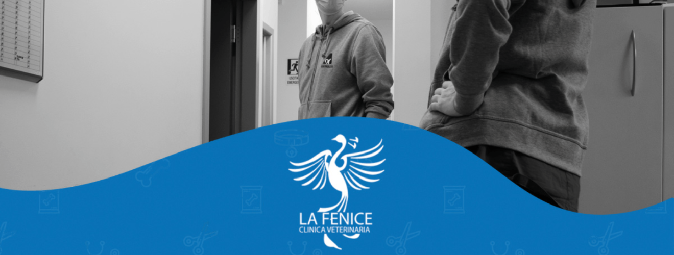 Benvenuti! La clinica “La Fenice” di Mestre si unisce al team