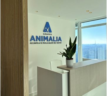 Il team e gli spazi di Animalia