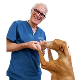 Dr. Paolo Scalvi