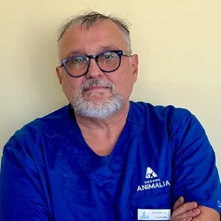 Dr. Andrea Carli