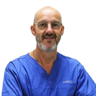 Dr. Nicola Penengo