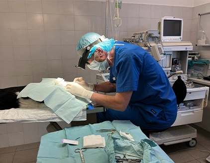 Dr.ssa Elisa Tubiana