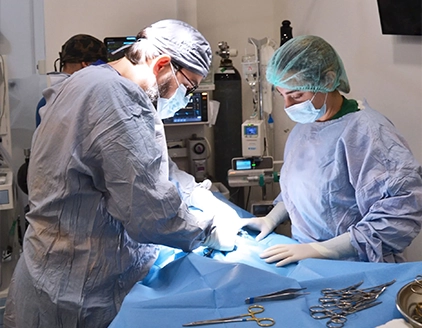 Dr. Fabio Rizzo