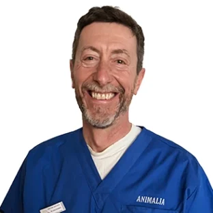 Dr. Luigi Bomben