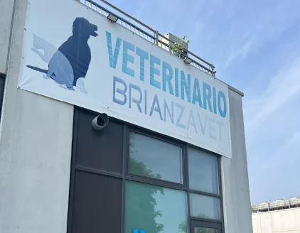 esterni brianzavet