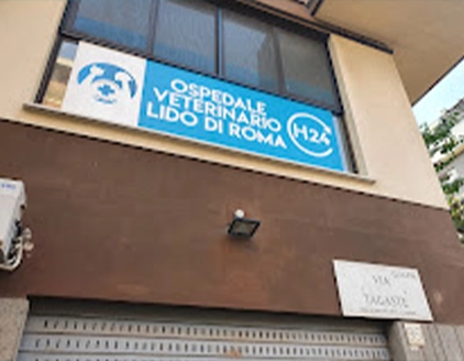 esterno insegna ospedale veterinario dottor lovet lido roma