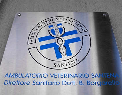 Dr. Bartolomeo Borgarello