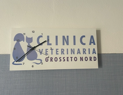 Dr. Fabrizio Corridori