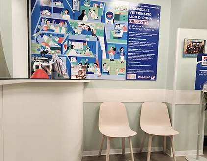 interno sala d'attesa ospedale veterinario dottor lovet lido roma