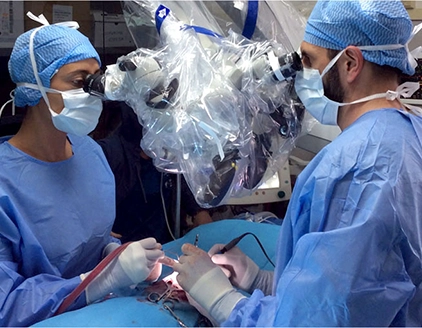 Dr. Romano Schiesaro