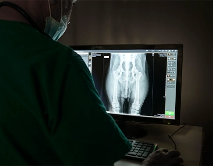 Dr. Tommaso Magni