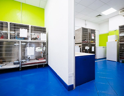 sala degenza centro vet sos oberdan