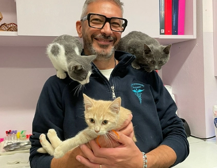 Dr.ssa Michele Marcelli