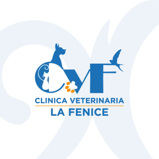 staff logo la fenice lucca