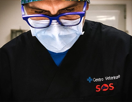 staff lavoro centro veterinario sos oberdan