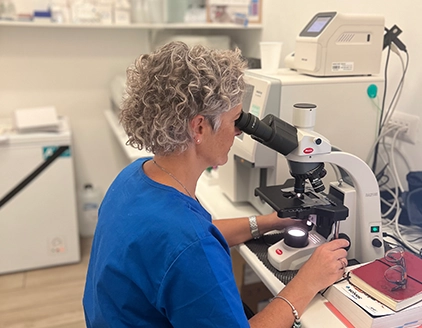 Dr. Michele Benedetto