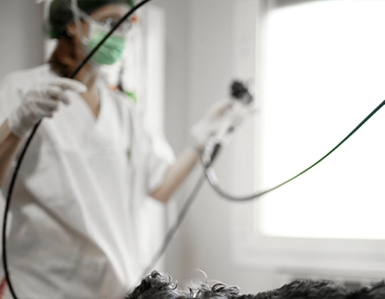 Dr. Tommaso Magni