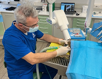 Dr. Mirko Radice