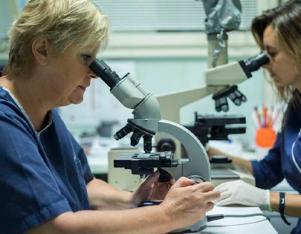 Dr.ssa Marta Padovani