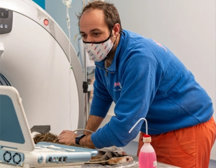 Dr. Manuel Mastrelli