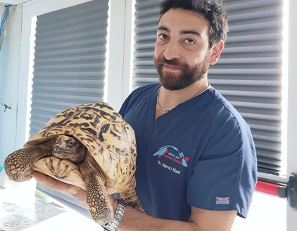 Dr. Antonio Sontuoso