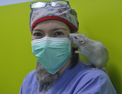 Dr.ssa Loredana Sorrenti