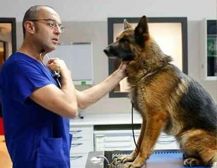 Dr. Fabrizio Corridori