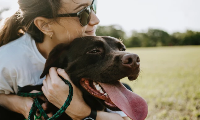 pet parent